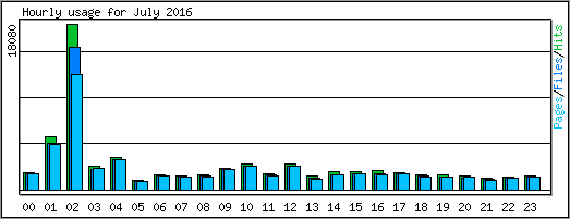 Hourly usage