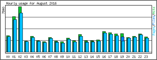 Hourly usage