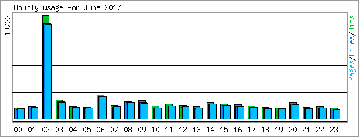 Hourly usage