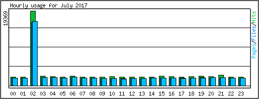 Hourly usage