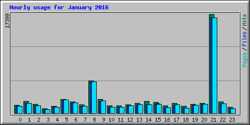 Hourly usage for January 2016